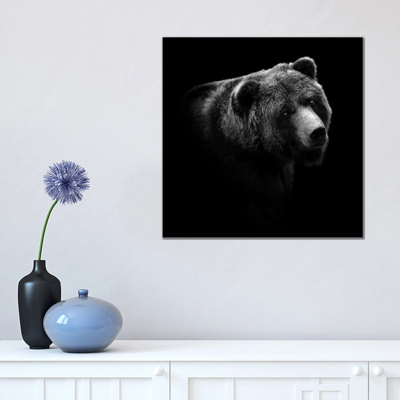 Bear In Black And White II by Lukas Holas - Wrapped Canvas Print, 45.72 cm H x 45.72 cm W