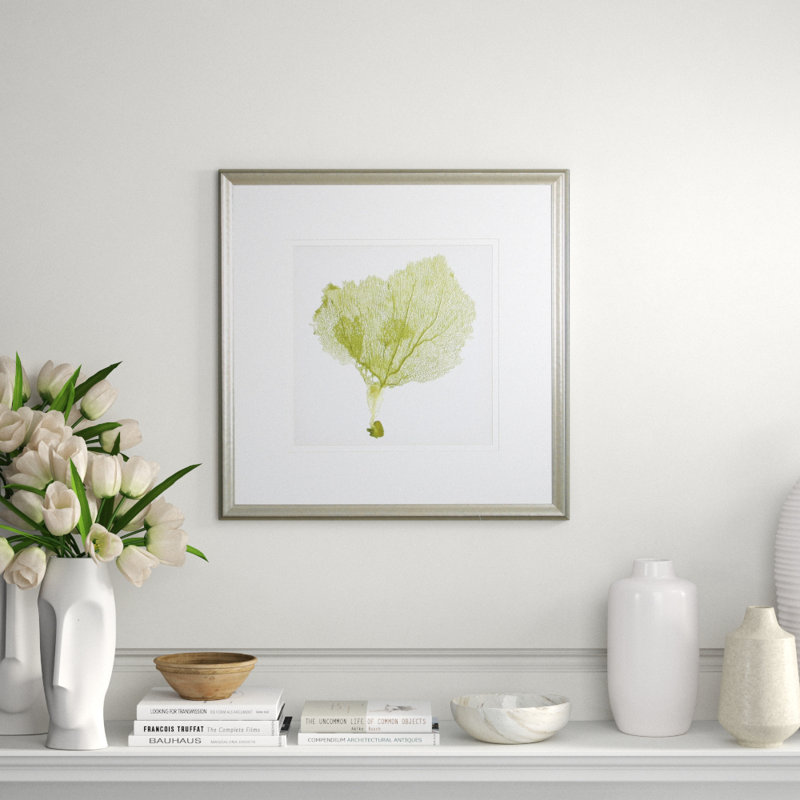 Sea Fan VIII Print by Vision