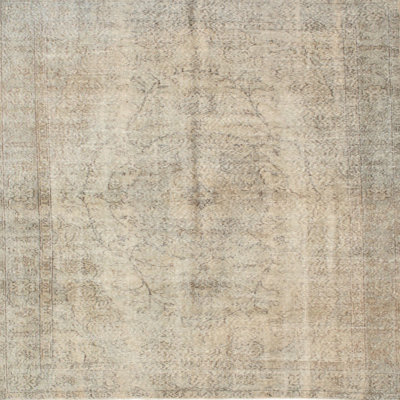 Oriental Indoor Rug