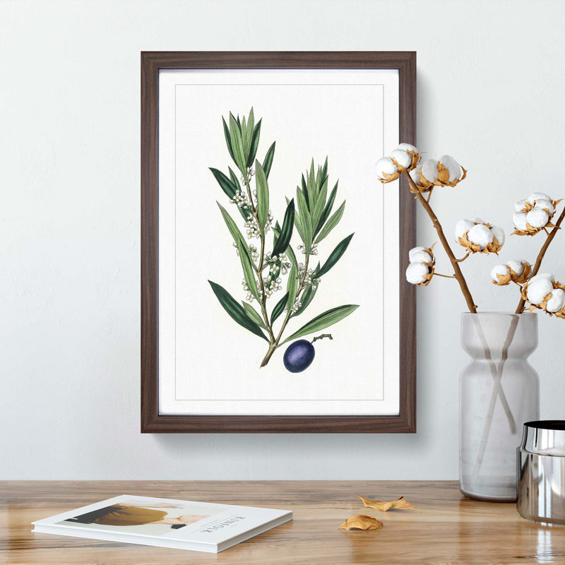 Olive Tree Flowers Illustration - Picture Frame Painting Print, 36cm H x 27cm W x 2cm D, Walnut Framed