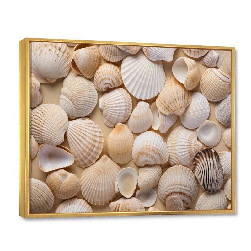 Beige palourde coquillage symphonie II, reproduction d'art sur toile, Cadre flottant doré, H 30 po x l 40 po x P 1,5 po