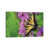 Wrapped Canvas is unavailable