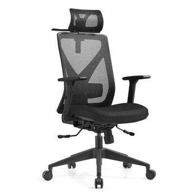 Caesyn Mesh Task Chair by Inbox Zero