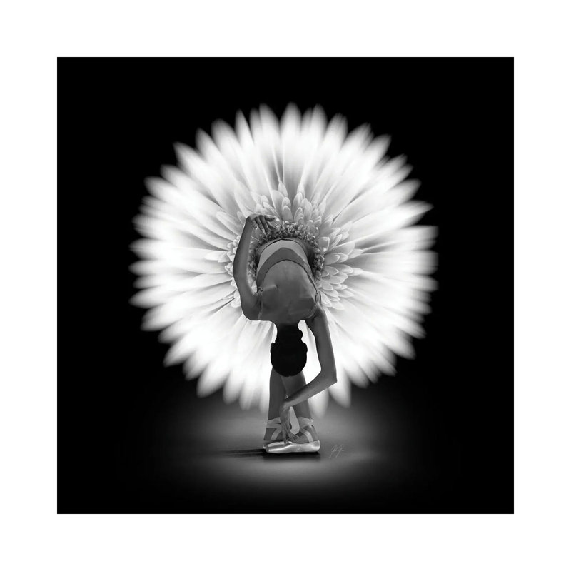 Florina by Kathrin Federer - Wrapped Canvas Print, 30.48 cm H x 30.48 cm W