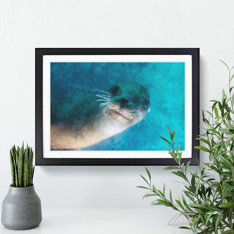 Face of a Seal - Framed Print, 48cm H x 65cm W x 2cm D, Black Framed