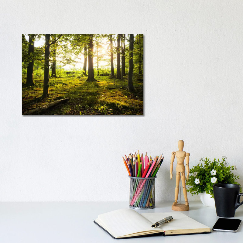 Forest by Stefan Hefele - Wrapped Canvas Print, 20.32 cm H x 30.48 cm W