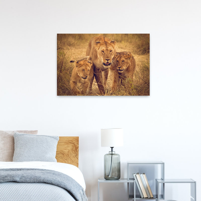 Lioness And Cubs Contemporary Cat Lion Nature Wildlife Wall Art Print 1 Piece Wrapped Canvas Wall Art, 60.96cm H x 91.44cm W