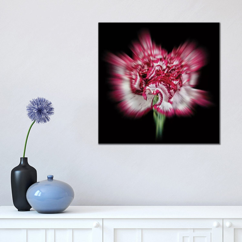 Pink Daisy Flower by Glauco Meneghelli - Wrapped Canvas Print, 45.72 cm H x 45.72 cm W
