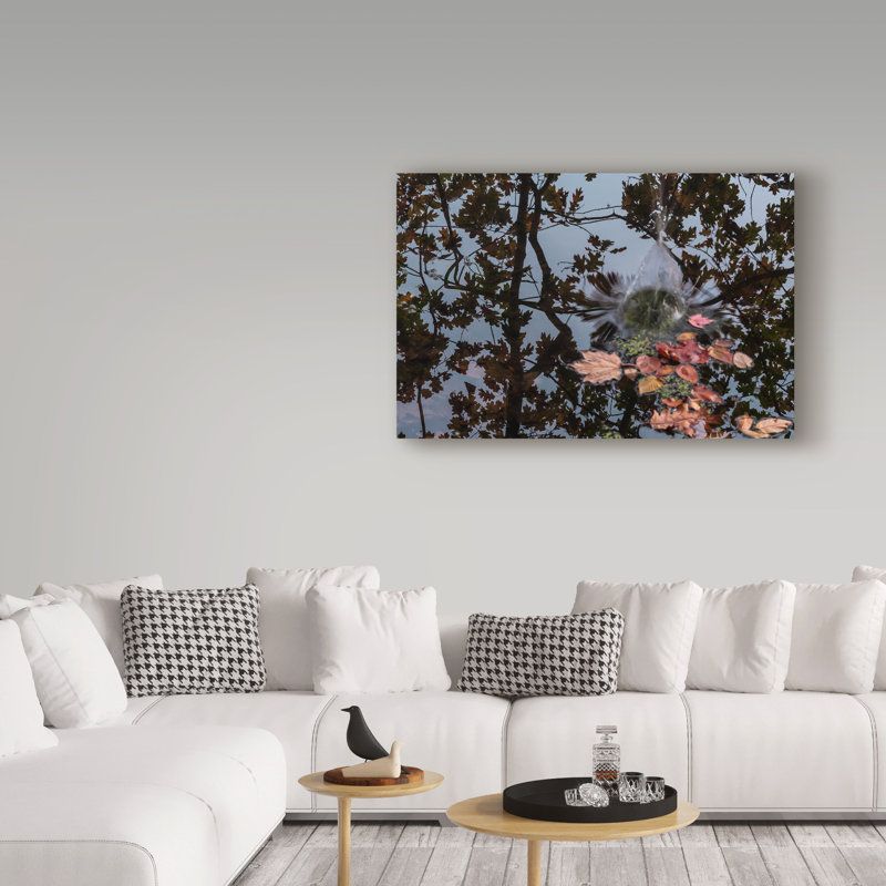 «Acorn Falling Into Pond With Tree Reflections», reproduction de photo sur toile tendue, H 12 po x l 19 po x P 2 po