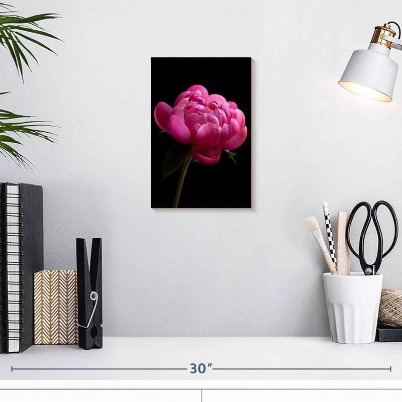 Magenta Peony, 12" H x 8" W
