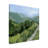 " Tree-lined Path I "-1955729613