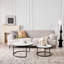 Coffee Table-661953919-654072810-654072811