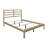Aaheli Solid Wood Panel Bed-1292206546-1292206557