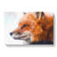 Profile Of A Red Fox - Wrapped Canvas-56629292