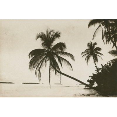 Palm Beach I by Wild Apple Portfolio - Wrapped Canvas Print