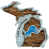 Detroit Lions