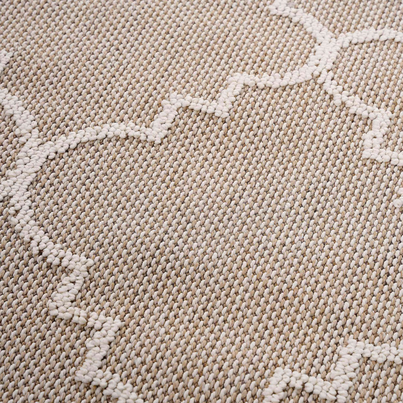 Collection Trellis Indoor Outdoor Area Rug, Rectangle 4' x 6'2"