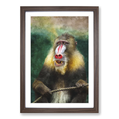 Mandrill Baboon Monkey - Picture Frame Painting