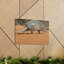 Art mural «Armadillo buisson dans le désert»-1626156135