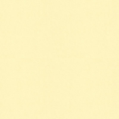 Guaranteed in Stock Fabric