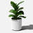 Demi Series Round Planter-83894856-83894852-86823200