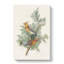 Cedar Birds by John Audubon - Wrapped Canvas-55371193
