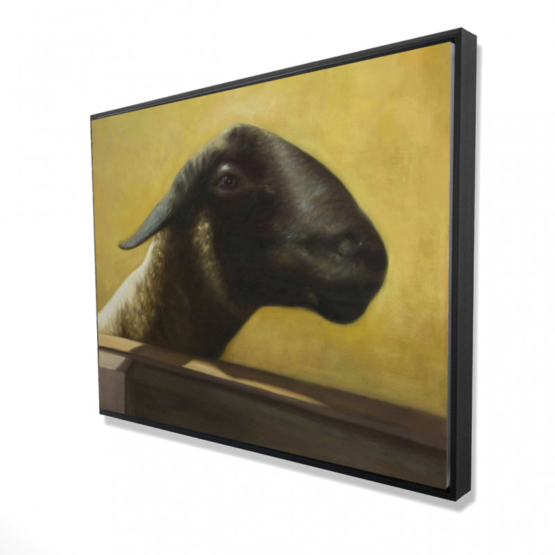 Young Ram Print On Canvas