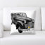 Microsuede Throw Pillow