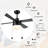 Terianna 52'' Ceiling Fan with Light Kit-1172549638