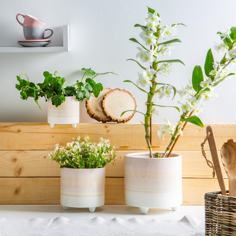 Ceramic Pot Planter, 17.5cm H x 18cm W x 18cm D, Natural