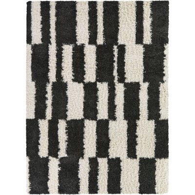 Keil Charcoal Checkered Shag Area Rug