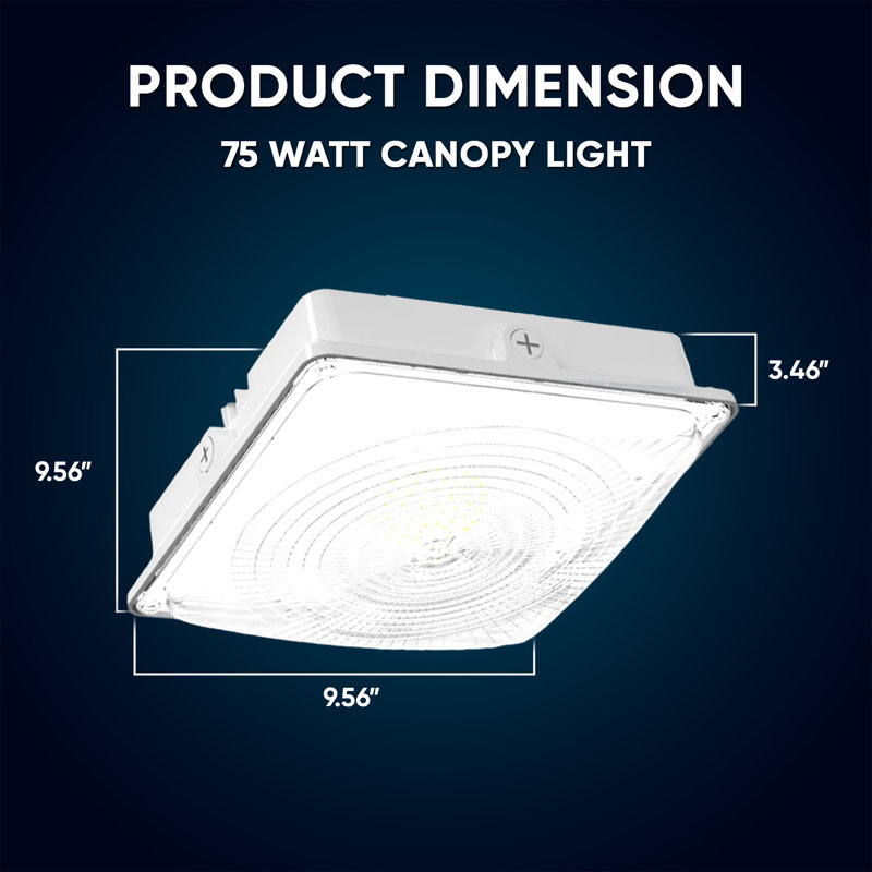 Dimmable Square Canopy Light, White