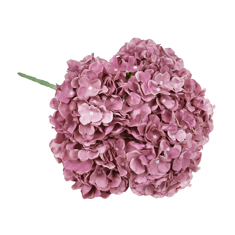 Hortensia de luxe, Mauve