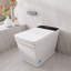 Toilette intelligente T505-WH, toilette à siège carré une pièce avec mode nettoyage et séchoir à air chaud
