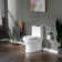 1.28 GPF Round Compact One Piece Dual-Flush Toilet with Soft-Closing Seat,MAP Flushing 1000G
