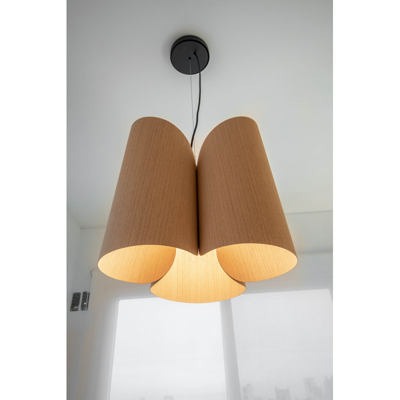 Luminaire suspendu 1 lumière de 18 po Julieta, Ébène