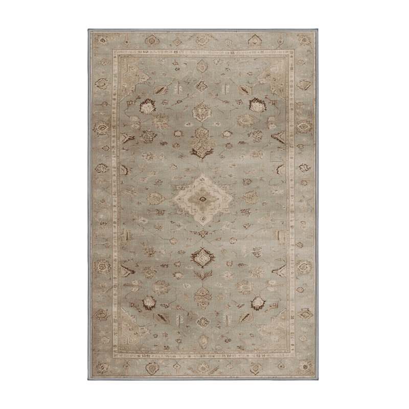 Machine Washable Afyon Grey Area Rug, Rectangle 4' x 6'
