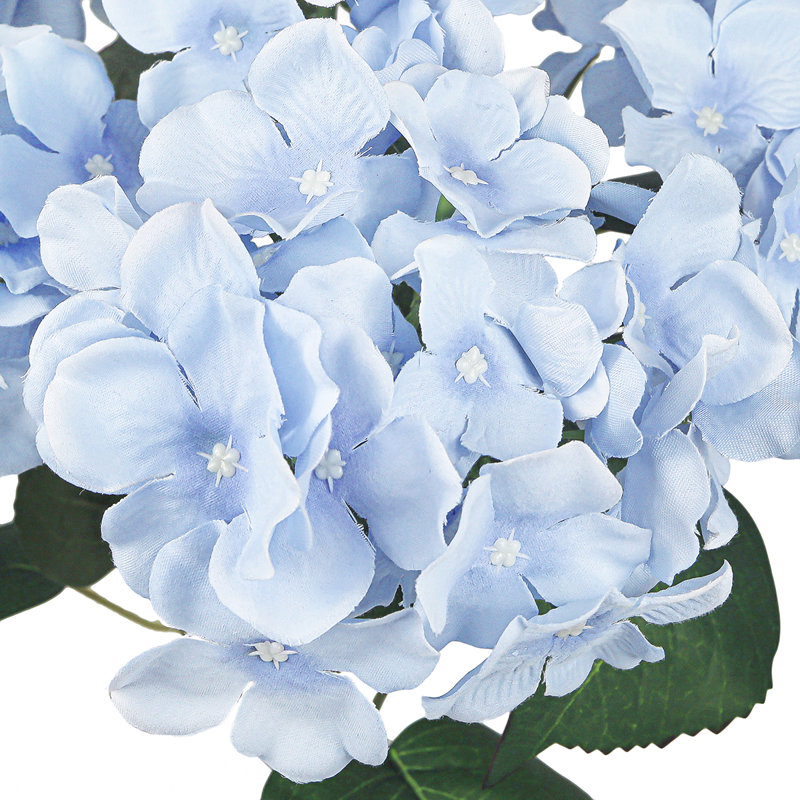 Tige d'hortensia de luxe Cragmont, Bleu pastel