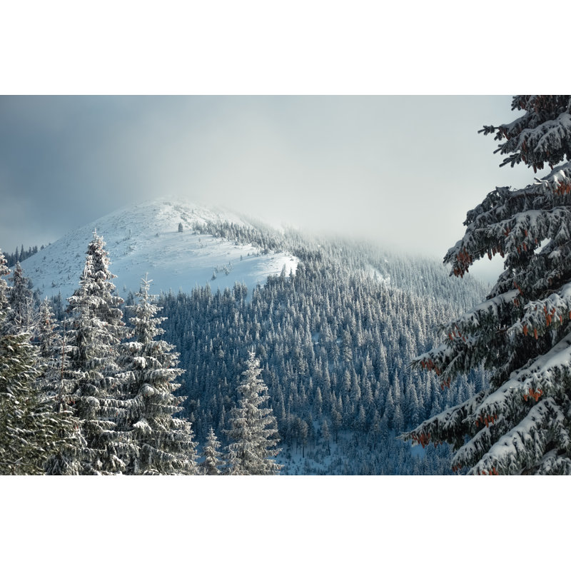 Fir Trees With Snow by IanaChyrva - Wrapped Canvas Print, 81cm H x 122cm W x 3.8cm D