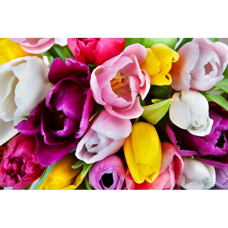 Christenberry Tulips Spring Flowers - Wrapped Canvas Print, 20cm H x 30cm W x 3.8cm D