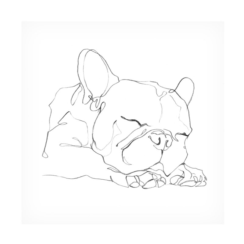 Art sur toile Ethan Harper «French Bulldog Contour II», H 35 po x l 35 po