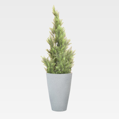Oisin Pot Planter