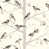 Brown/Gray/Beige
