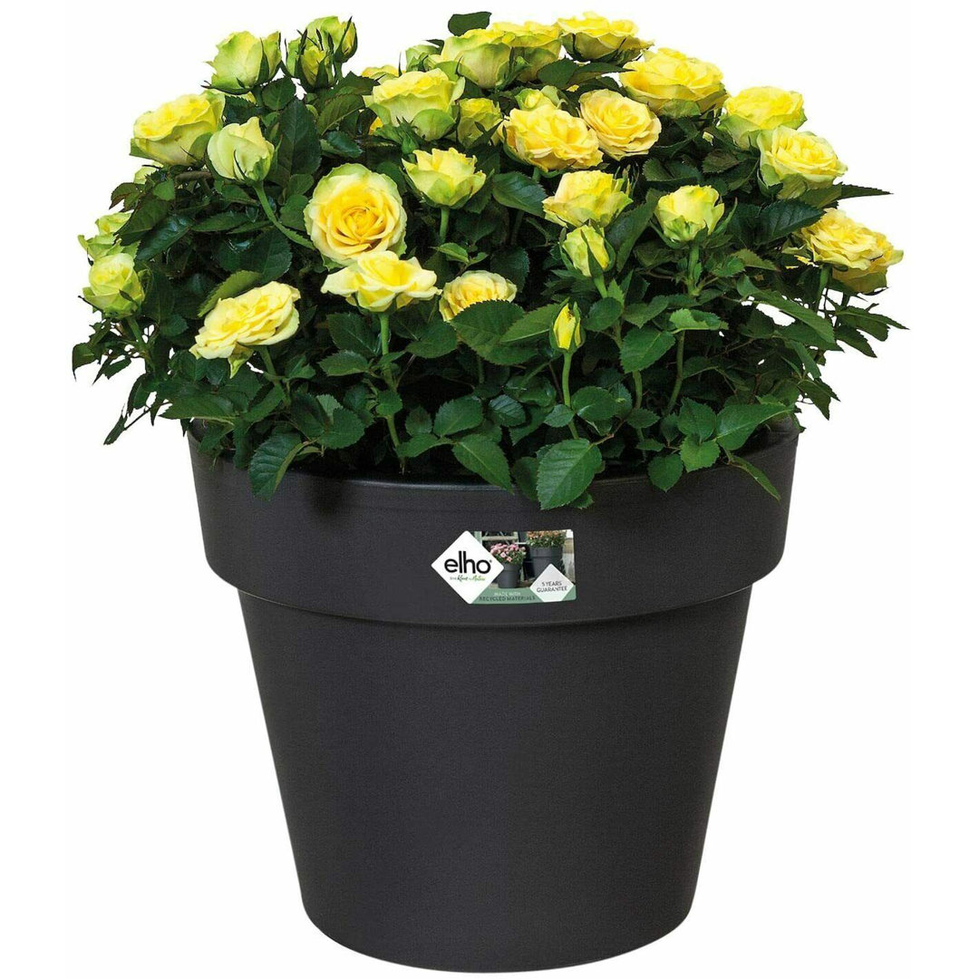 Round Barrel Planter Plastic Plant Pot