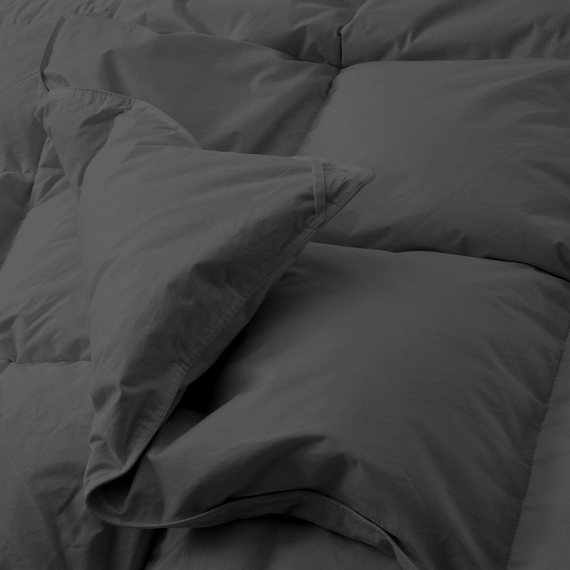 All Season Goose Feather Fiber Comforter, Queen, Cream