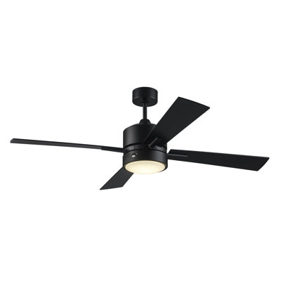 Ventilateur de plafond noir Arden
