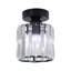 Blandinsville Glass Flush Mount-1721388533