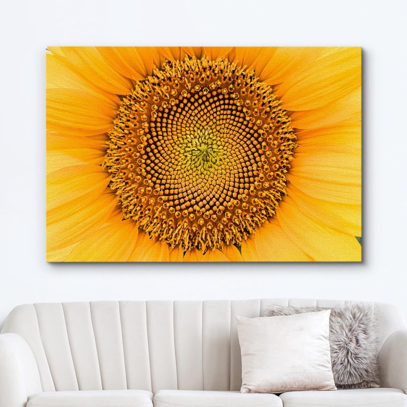 Tournesol "Gros plan détail tournesol d'été" sur, H 24 po x l 36 po