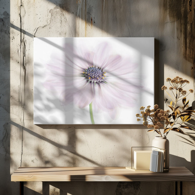 Wrapped Canvas Print, 60.96 cm H x 91.44 cm W