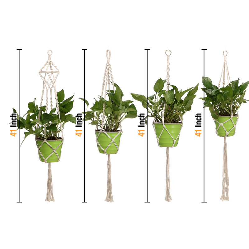 Plant Hanger